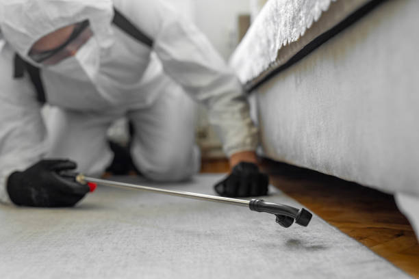 Professional Bed Bug Control technician working in Rockport, IN